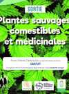 Sortie plantes sauvages, comestibles et médicinales