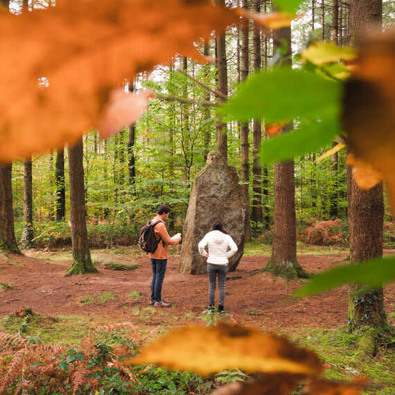 Randonnée dans la forêt de Camors ou sur le chemin de Cadoudal à Locoal Mendon ou encore le long de la rivère d'Auray en été, à 'automne ou en hiver 