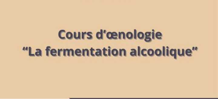 Cours d'oenologie "la fermentation alcoolique"