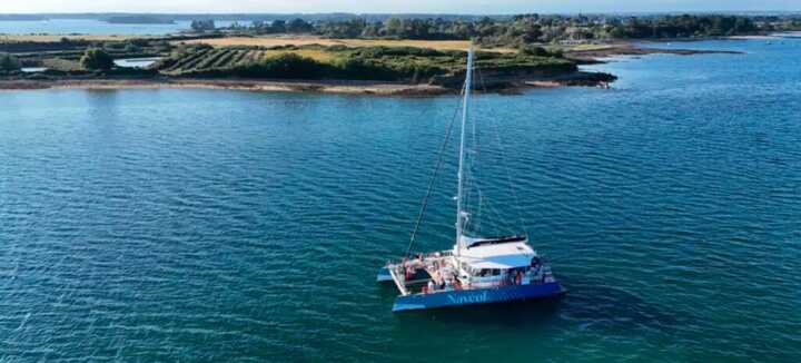 Balade sur le Golfe du Morbihan à bord de Navéol