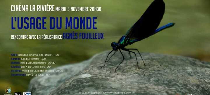 Projection du film "L'usage du monde"