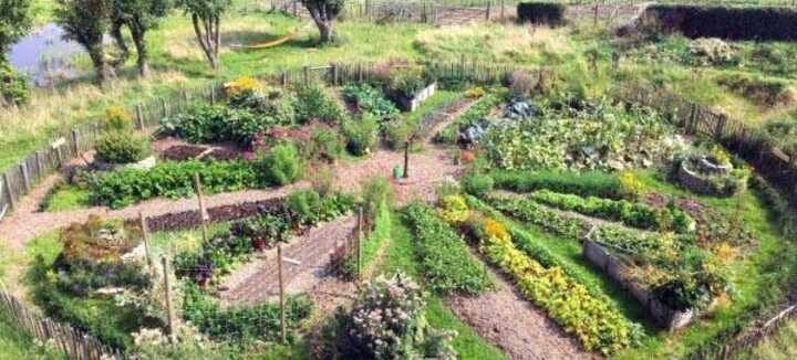 Atelier permaculture : aménager son espace nourricier